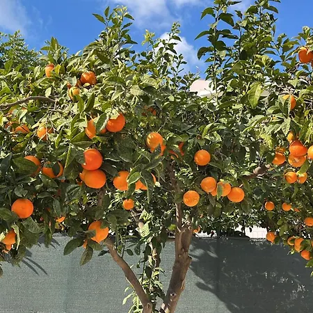 Kalos Апартаменты *